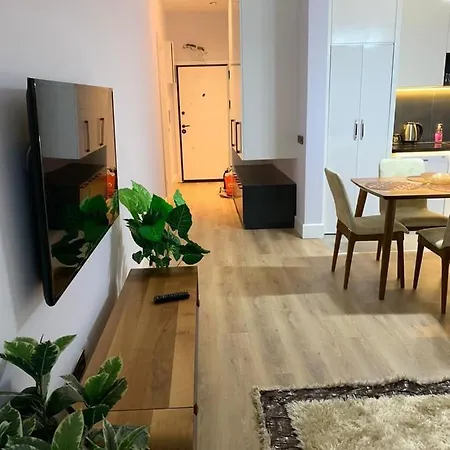 Flat Near The Sea * Alanya